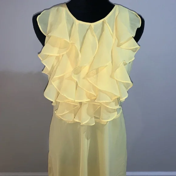CHADWICK’S dress size 10P - Picture 2 of 4